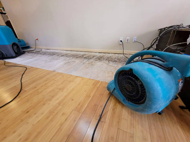 Professional Ceiling Water Damage Repair technician working in Chula Vista, CA